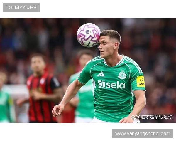 埃迪豪谈西汉姆联比赛伤情：维萨无法参赛恢复时间未定